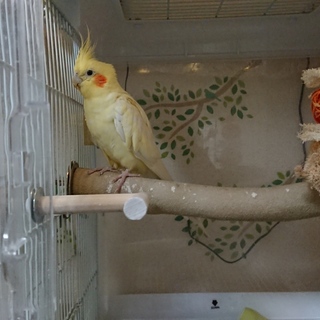 里親さん決まりました！