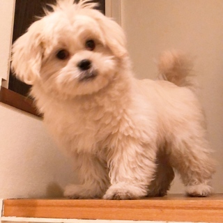 交渉中ですので、募集は締め切らせていただきます。