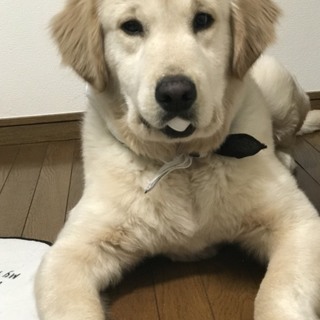 よろしくお願いします