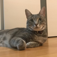 うり