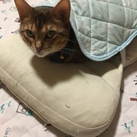 マリー