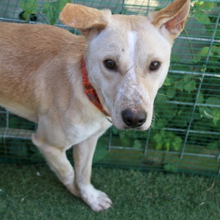 大きな体に優しいお顔の男の子