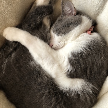 まんまる