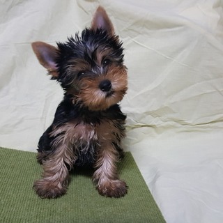 一旦、新規の方の申し込みを中止させて下さい。