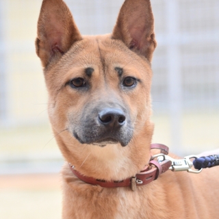 ◆ここから出して！◆若く元気なりょうま君