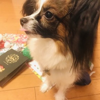 ココ