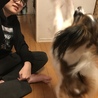 の写真
