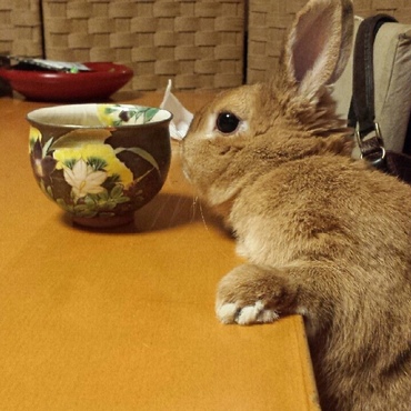 の写真