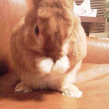 の写真