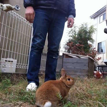 の写真
