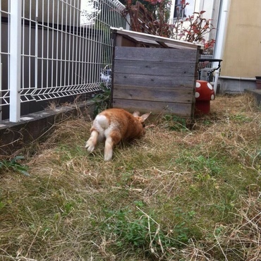 の写真