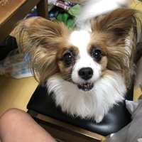 べる