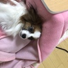 初対面の日です。すぐに甘ったれな性格の本領発揮でした。