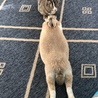 の写真