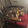 熟睡中〜zzz…