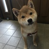 タクユウ