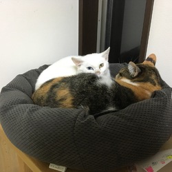 仲良し