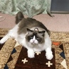の写真