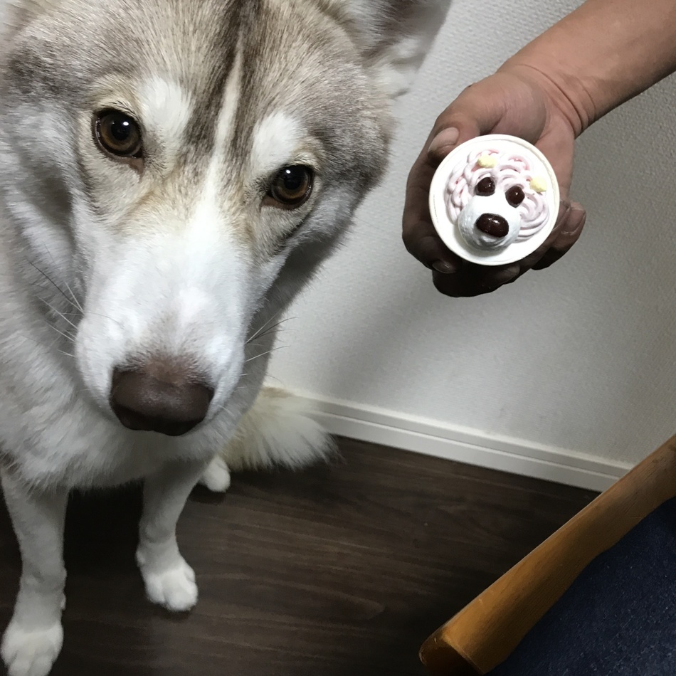 愛音(オト)のカバー写真