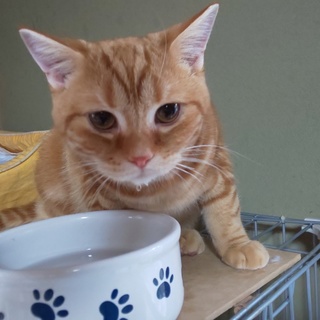 活発で無邪気な男の子