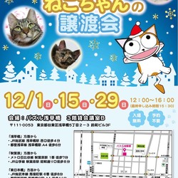 今年最後のねこざんまい譲渡会@浅草橋