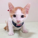 みずきくん(仮)〜甘えん坊、人なつこい〜