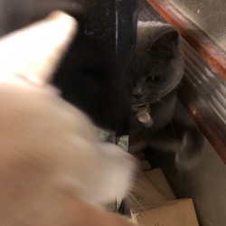 もう少し仲良くしようよ