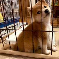 まる