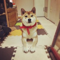 こたろう