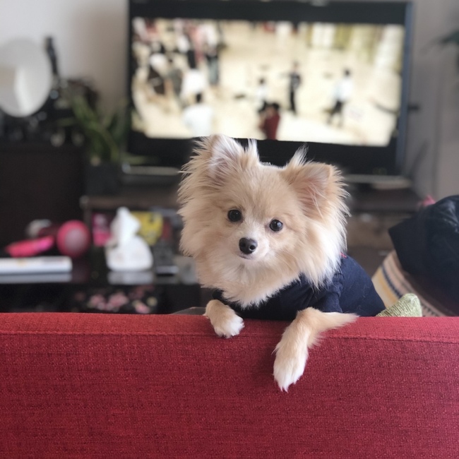 チヒロ08053103のカバー写真