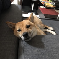 リリ
