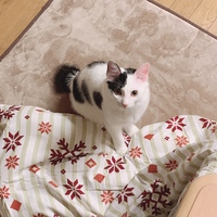 そな