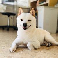 テン