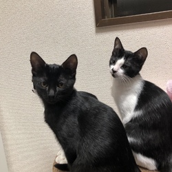ほんまに良かった(^^)有難い(o^^o)