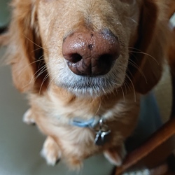 今日も充邦君。