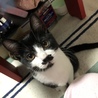 ちょび