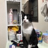 いーじ