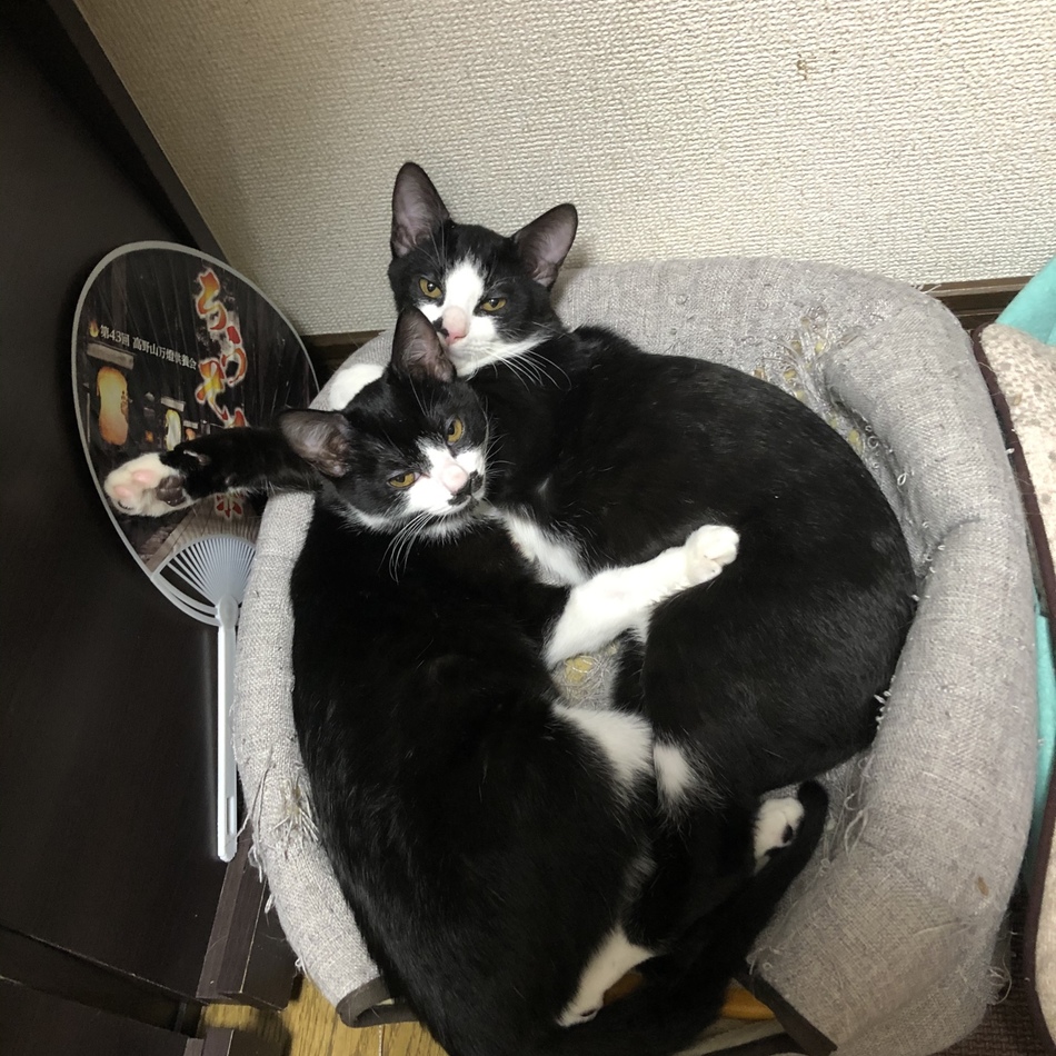 いーじのカバー写真