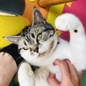 息子が寝たら、お姉ちゃんの時間！