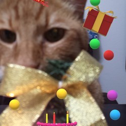 「2回目のクリスマス」サムネイル3