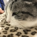 ゲージ生活から、ご家族にしてください
