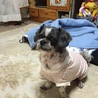 プリンのまま