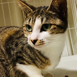 人が好きなおっとり女の子　テイラー♬