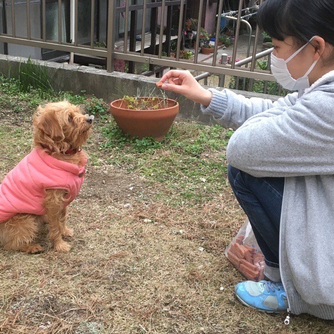 ヒロぱんださんのカバー写真