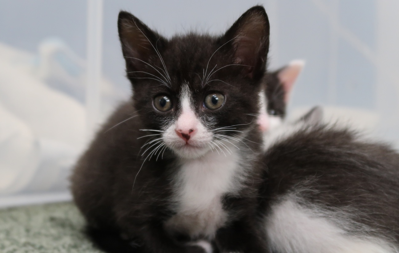 11月初め生まれの男の子 サムネイル2