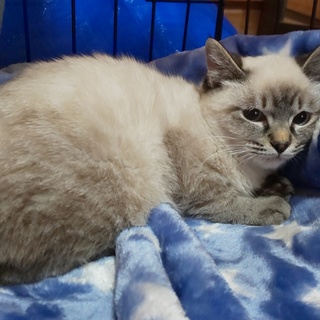 優しい人と暮らしたい