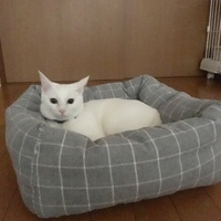 すず