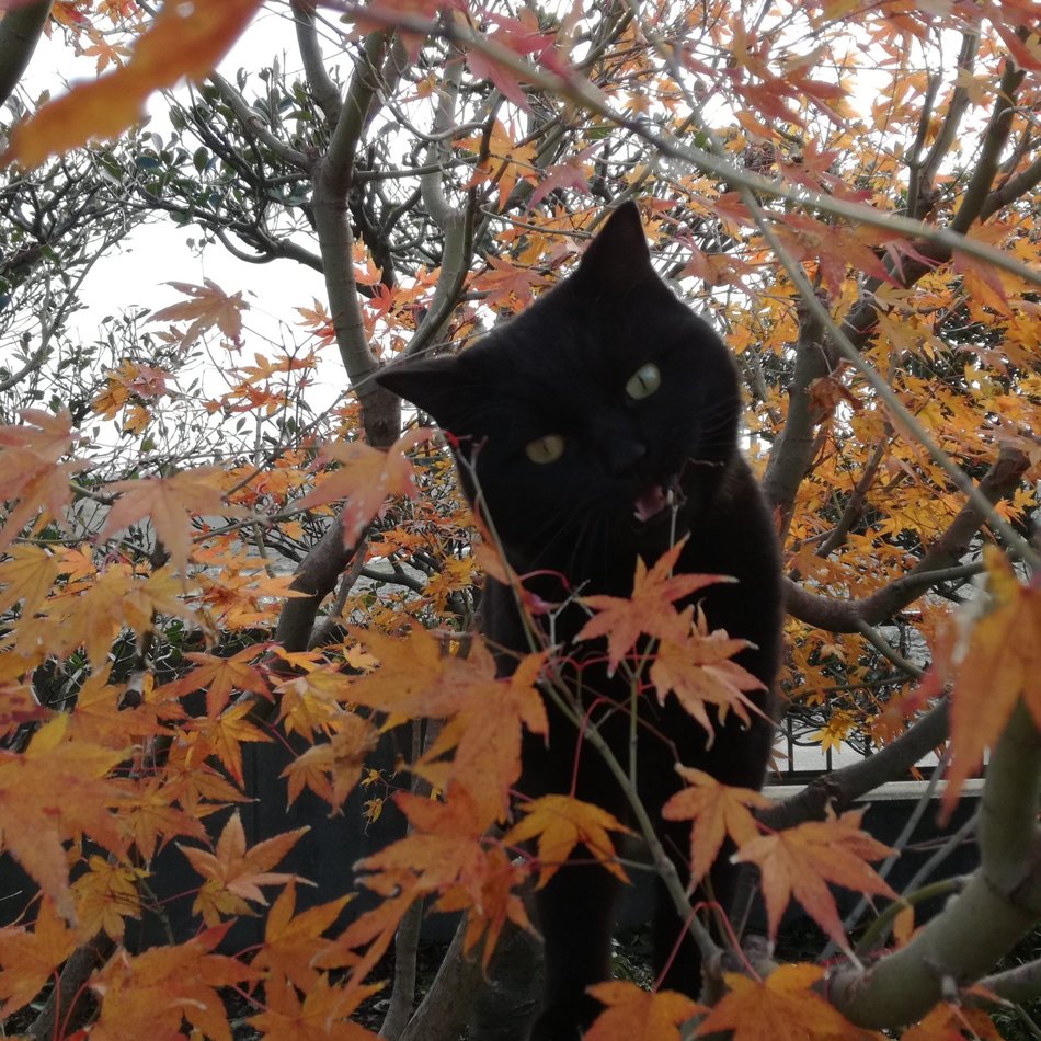 幹太（かんた）のカバー写真