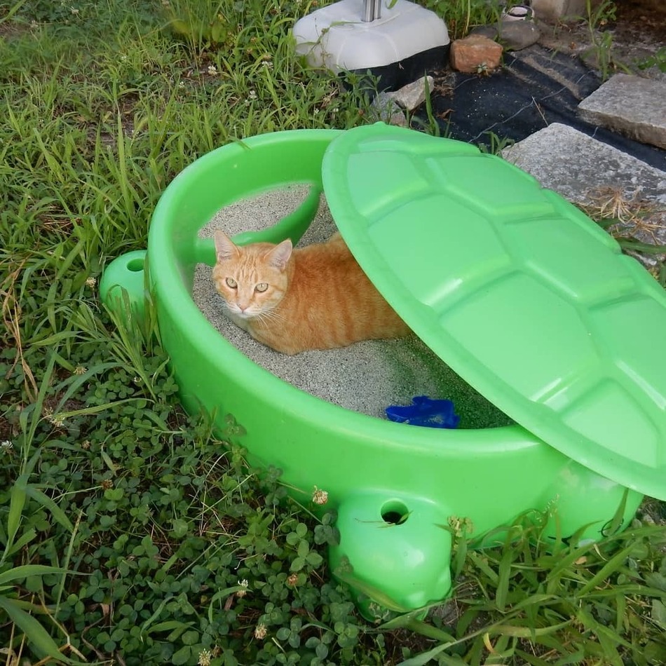 みーのカバー写真