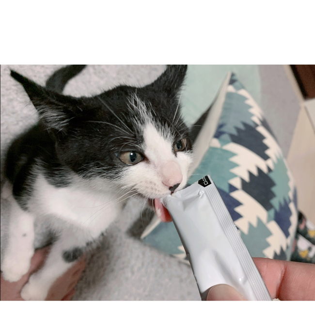 mihotaのカバー写真